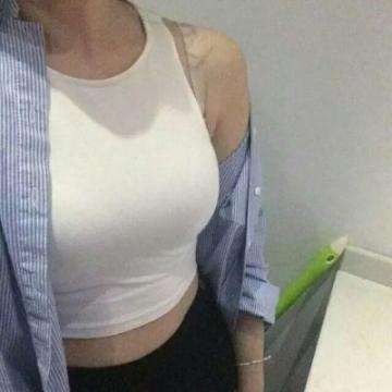 流浪小奶狗游戏
